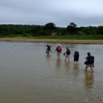 iMfolozi Wilderness Trails, Umfolozi trails, Hluhluwe-Imfolozi, Kruger Park Wilderness Trails, Wolhuter Trail, Primitive Trail, Explorer Trail, Base Camp Trail, Gary Player Wilderness Trails