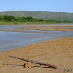 iMfolozi Wilderness Trails, Umfolozi trails, Hluhluwe-Imfolozi, Kruger Park Wilderness Trails, Wolhuter Trail, Primitive Trail, Explorer Trail, Base Camp Trail, Gary Player Wilderness Trails
