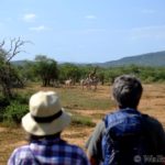 iMfolozi Wilderness Trails, Umfolozi trails, Hluhluwe-Imfolozi, Kruger Park Wilderness Trails, Wolhuter Trail, Primitive Trail, Explorer Trail, Base Camp Trail, Gary Player Wilderness Trails