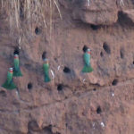 Luvuvhu Discovery Trail, Pafuri Walking Trails, Kruger National Park, Return Africa, Walking safaris in South Africa, Wilderness Trails