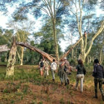 Luvuvhu Discovery Trail, Pafuri Walking Trails, Kruger National Park, Return Africa, Walking safaris in South Africa, Wilderness Trails