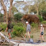 Pafuri Walking Trails, Wilderness Trails, Walking in the Kruger Park, Luvuvhu, Return Africa, Walking Safaris in South Africa