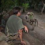 Pafuri Walking Trails, Wilderness Trails, Walking in the Kruger Park, Luvuvhu, Return Africa, Walking Safaris in South Africa