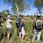 Pafuri Walking Trails, Wilderness Trails, Walking in the Kruger Park, Luvuvhu, Return Africa, Walking Safaris in South Africa