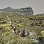 Climb Table Mountain, hiking in Cape Town, Summit McLear's Beacon, walks in the Cape, walking holidays in South Africa
