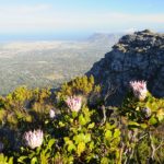 Climb Table Mountain, climb Skeleton Gorge, hiking in Cape Town, Summit McLear's Beacon, walks in the Cape, walking holidays in South Africa