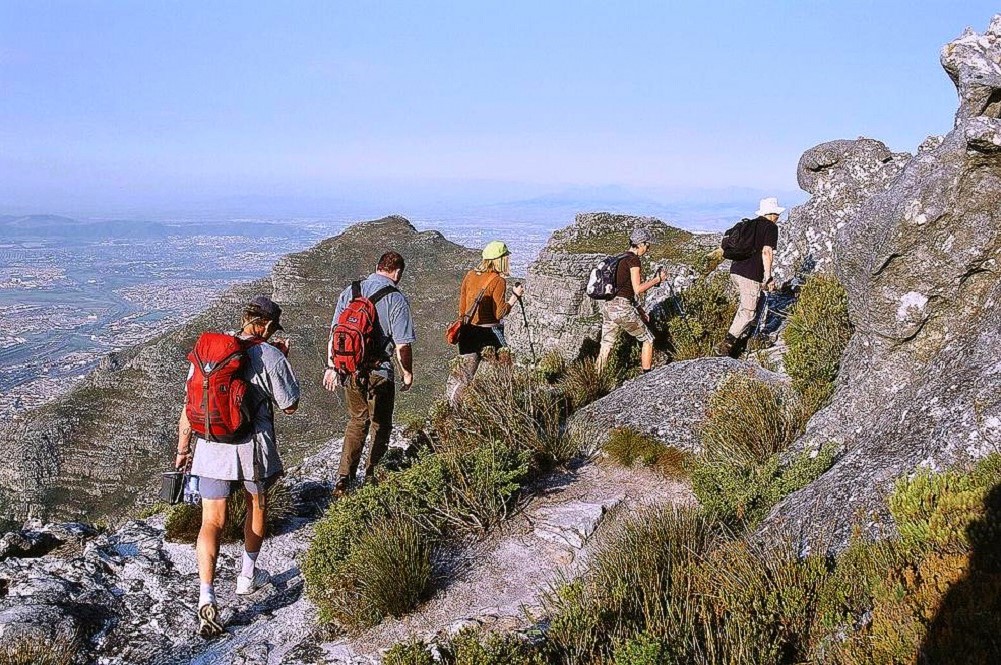 Climb Table Mountain Walksinafrica