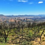 Tierkloof Trail, Hiking in the Gamkaberg, Cape Hiking Trails, Slackpacking Trails, Hikes in the Klein Karoo