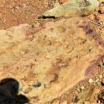 Tierkloof Trail, Hiking in the Gamkaberg, Cape Hiking Trails, Slackpacking Trails, Hikes in the Klein Karoo