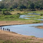 Pafuri Walking Trails, Luvuvhu Discovery Trail, Kruger National Park