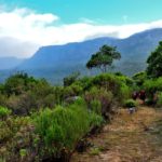 Disa Gorge, Climb Table Mountain, Orangekloof, Hiking in Cape Town