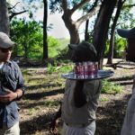 Footsteps Across The Delta, Footsteps Camp, Ker and Downey Botswana, Walking Safaris in Botswana, Walk in the Okavango, Shinde Camp, Okuti, Kanana Camp
