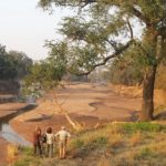 Walk Mashatu, walking safaris in Botswana, Stuart Quinn, walking safari at Mashatu, Mashatu Game Reserve, Tuli Walking Trails