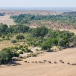 Walk Mashatu, walking safaris in Botswana, Stuart Quinn, walking safari at Mashatu, Mashatu Game Reserve, Tuli Walking Trails