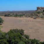 Walk Mashatu, walking safaris in Botswana, Stuart Quinn, walking safari at Mashatu, Mashatu Game Reserve, Tuli Walking Trails