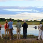 Footsteps Across The Delta, Footsteps Camp, Ker and Downey Botswana, Walking Safaris in Botswana, Walk in the Okavango, Shinde Camp, Okuti, Kanana Camp