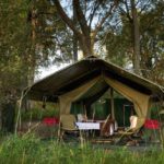 Footsteps Across The Delta, Footsteps Camp, Ker and Downey Botswana, Walking Safaris in Botswana, Walk in the Okavango, Shinde Camp, Okuti, Kanana Camp