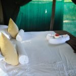 Footsteps Across The Delta, Footsteps Camp, Ker and Downey Botswana, Walking Safaris in Botswana, Walk in the Okavango, Shinde Camp, Okuti, Kanana Camp