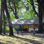 Footsteps Across The Delta, Footsteps Camp, Ker and Downey Botswana, Walking Safaris in Botswana, Walk in the Okavango, Shinde Camp, Okuti, Kanana Camp