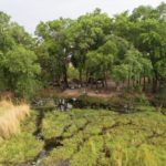 Footsteps Across The Delta, Footsteps Camp, Ker and Downey Botswana, Walking Safaris in Botswana, Walk in the Okavango, Shinde Camp, Okuti, Kanana Camp