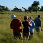 Footsteps Across The Delta, Footsteps Camp, Ker and Downey Botswana, Walking Safaris in Botswana, Walk in the Okavango, Shinde Camp, Okuti, Kanana Camp
