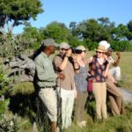 Footsteps Across The Delta, Footsteps Camp, Ker and Downey Botswana, Walking Safaris in Botswana, Walk in the Okavango, Shinde Camp, Okuti, Kanana Camp