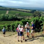 Green Mountain Trail, Paul Cluver Wine