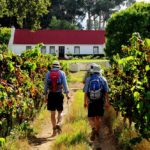 Green Mountain Trail, Paul Cluver Wine estate