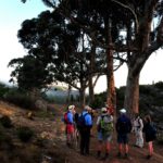 Green Mountain Trail