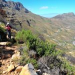 Hoerikwaggo Trail, hiking in Cape Town, Blackburn Ravine Hike
