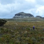 Hoerikwaggo Trail, hiking in Cape Town
