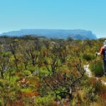 Hoerikwaggo Trail, hiking in Cape Town, hikes on Table Mountain