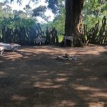 Walk Mashatu, walking safaris in Botswana, Stuart Quinn, walking safari at Mashatu, Mashatu Game Reserve, Tuli Walking Trails