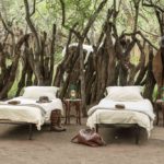 Walk Mashatu, walking safaris in Botswana, Stuart Quinn, walking safari at Mashatu, Mashatu Game Reserve, Tuli Walking Trails