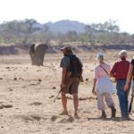 Walk Mashatu, walking safaris in Botswana, Stuart Quinn, walking safari at Mashatu, Mashatu Game Reserve, Tuli Walking Trails