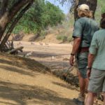 Walk Mashatu, walking safaris in Botswana, Stuart Quinn, walking safari at Mashatu, Mashatu Game Reserve, Tuli Walking Trails