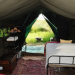 Footsteps Across The Delta, Footsteps Camp, Ker and Downey Botswana, Walking Safaris in Botswana, Walk in the Okavango, Shinde Camp, Okuti, Kanana Camp