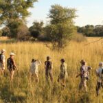 David Foot Walking Safari, Ride Botswana, Walking Safaris in Botswana, walk in the Okavango