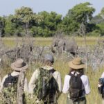 David Foot Walking Safari, Ride Botswana, Walking Safaris in Botswana, walk in the Okavango