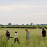 David Foot Walking Safari, Ride Botswana, Walking Safaris in Botswana, walk in the Okavango