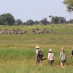 David Foot Walking Safari, Ride Botswana, Walking Safaris in Botswana, walk in the Okavango