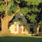 Velgelegen wine estate, walks in the Cape Winelands, wine tasting tours cape town