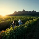 Franschhoek valley, walk in the cape winelands, wineland walks