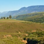 Grootvadersbosch Farm Accommodation, The Top House, farm stays in the Overberg