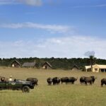 Gorah Elephant Camp, best camps at Addo