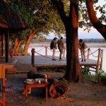 Robin Pope Mobile Walking Safari, Walking Safaris in Zambia, Walking in the South Luangwa, Walking with Jason Alfonsi, Walking trails in Africa, Nsefu camp, Nkwali Camp, best guides in Zambia