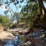 Robin Pope Mobile Walking Safari, Walking Safaris in Zambia, Walking in the South Luangwa, Walking with Jason Alfonsi, Walking trails in Africa, Nsefu camp, Nkwali Camp, best guides in Zambia