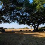 Robin Pope Mobile Walking Safari, Walking Safaris in Zambia, Walking in the South Luangwa, Walking with Jason Alfonsi, Walking trails in Africa, Nsefu camp, Nkwali Camp, best guides in Zambia