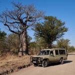 Robin Pope Mobile Walking Safari, Walking Safaris in Zambia, Walking in the South Luangwa, Walking with Jason Alfonsi, Walking trails in Africa, Nsefu camp, Nkwali Camp, best guides in Zambia