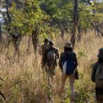 Robin Pope Mobile Walking Safari, Walking Safaris in Zambia, Walking in the South Luangwa, Walking with Jason Alfonsi, Walking trails in Africa, Nsefu camp, Nkwali Camp, best guides in Zambia